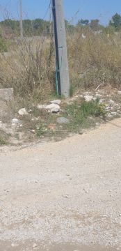 Especialista em Remoção de Lixo e Entulho