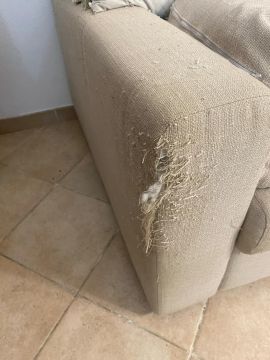 Upholstery Specialist