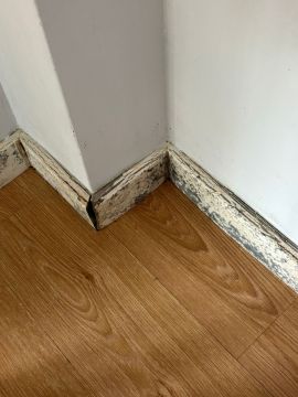Pintura - Casa