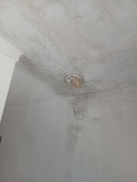 Pintura de Casas - Pintura