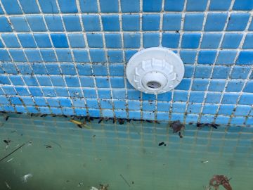 Especialista de Reparação de Piscinas