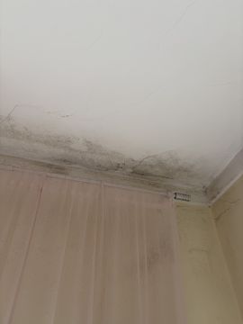 Pintura de Casas - Pintura
