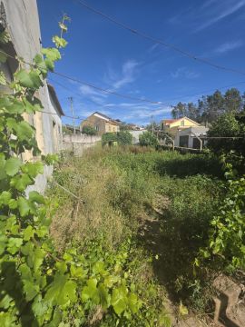 Jardinagem - Jardinagem e Relvados