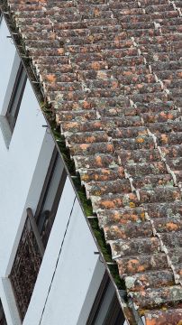 Telhados e Coberturas