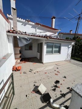 Pension pour chiens