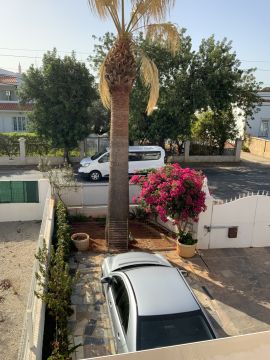 Podador de Árvores