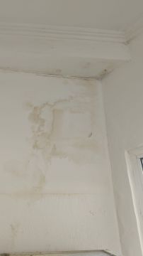 Pintor de Interiores