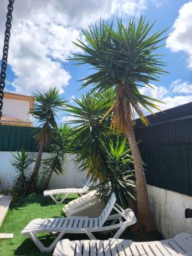 Serviço de Jardinagem