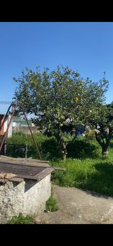 Serviço de Jardinagem - Casa