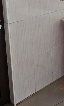 Especialista em Aplicar Papel de Parede