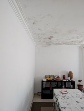 Pintor de Casas