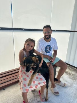 Hospedaje de perros