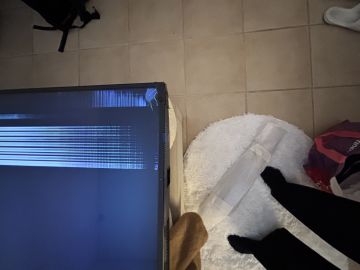 Reparador de TV
