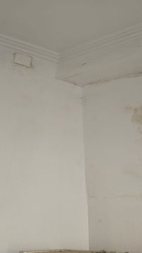 Pintor de Interiores - Casa