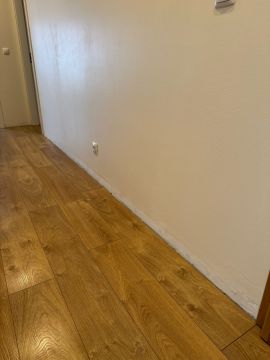 Plant -Caregiver - Home Improvements