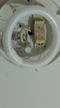 Elektroniker