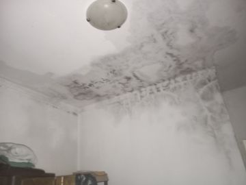 Pintor de Casas