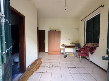 Especialista em Remoção de Lixo e Entulho