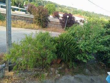 Serviço de Jardinagem