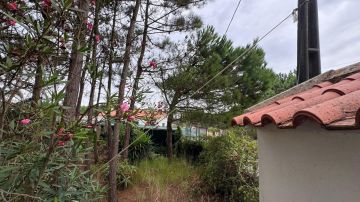 Jardinagem