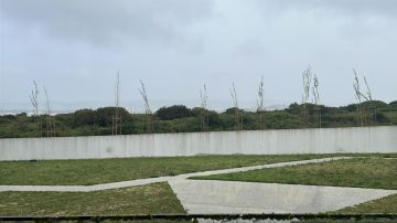 Serviço de Jardinagem