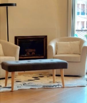 Fireplace and Chimney Inspector