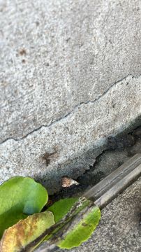 Spezialisten für Renovierungen