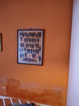 Pintor de Interiores