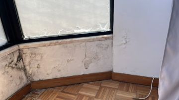 Pintura - Casa