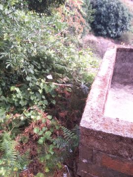 Jardinagem e Relvados