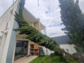 Tree Trimmer