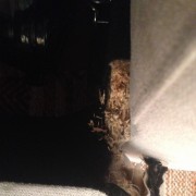 Upholstery Service