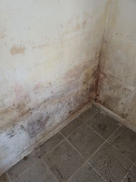 Servicios de construcción