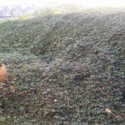 Lawncare