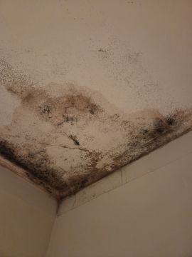 Pintura de Casas - Pintura