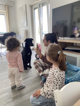 Hotel para Cães