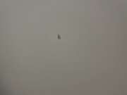 Interior Painter
