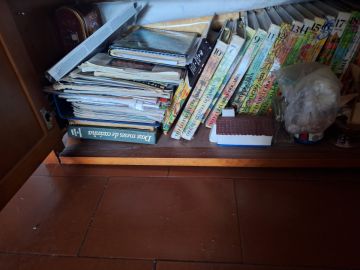 Carpentry and Woodworking