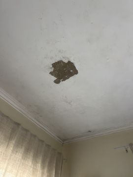 Pintura de Interiores