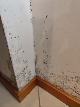 Pintura de Casas - Pintura
