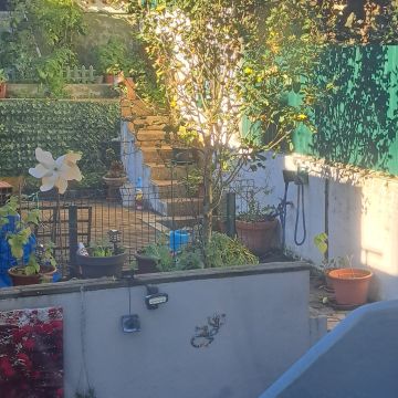 Lawncare
