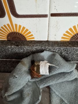Plumbing