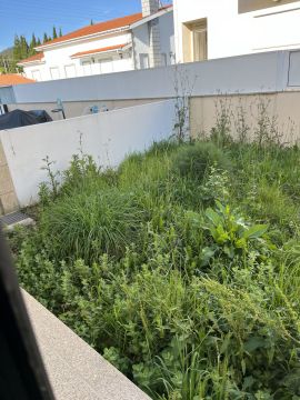 Gardener