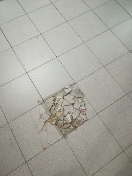 Biscateiro