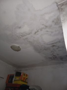 Pintura de Casas