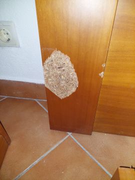 Fine Woodworking