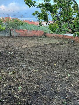 Gardening