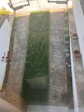 Jardinería - Jardinería