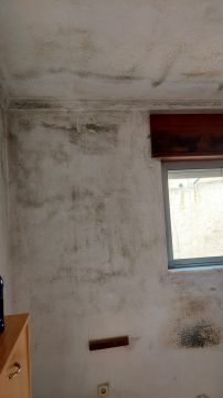 Pintura de Casas