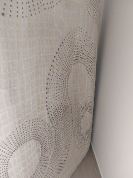 Mattress Cleaner